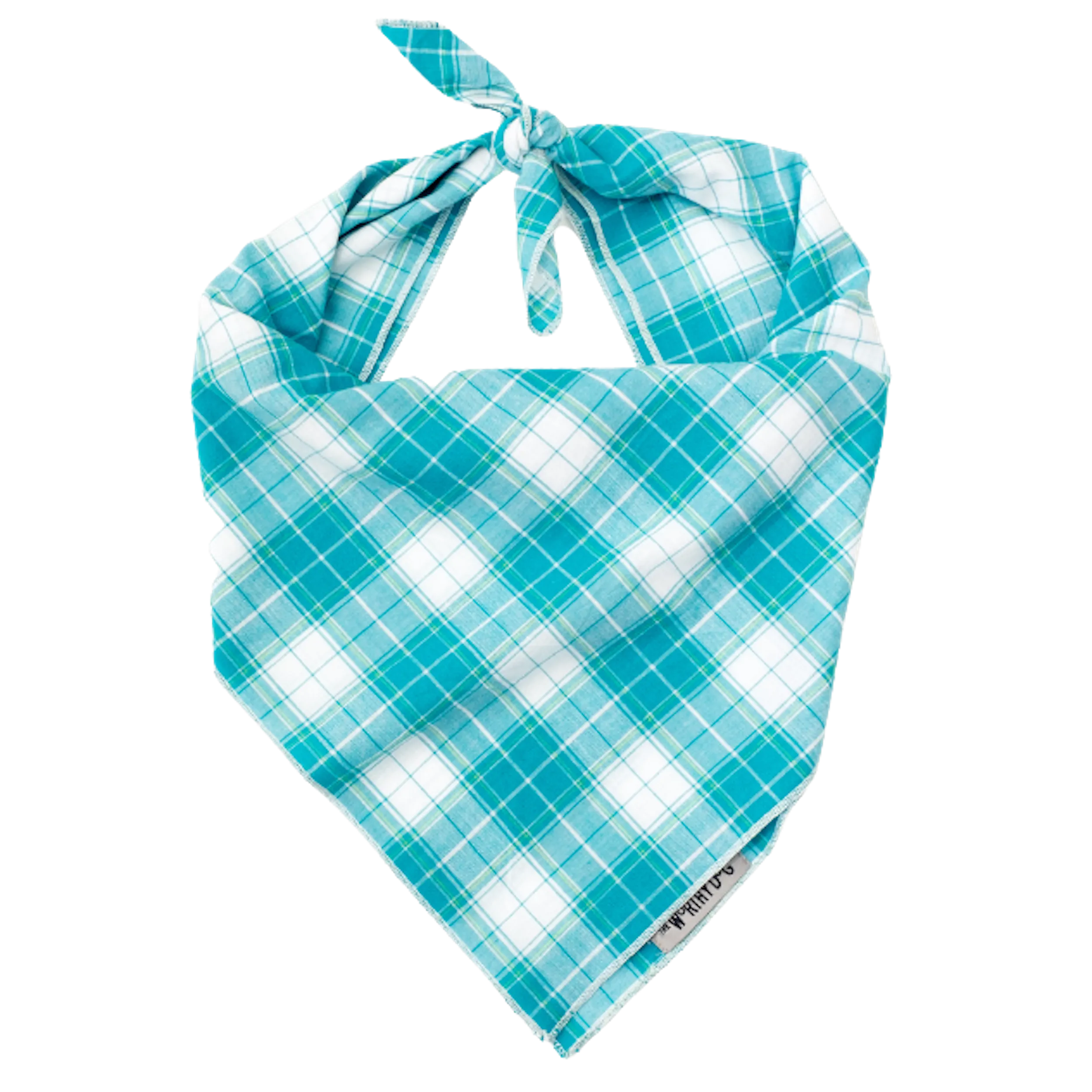 Bandana | Turquoise & White Madras Plaid