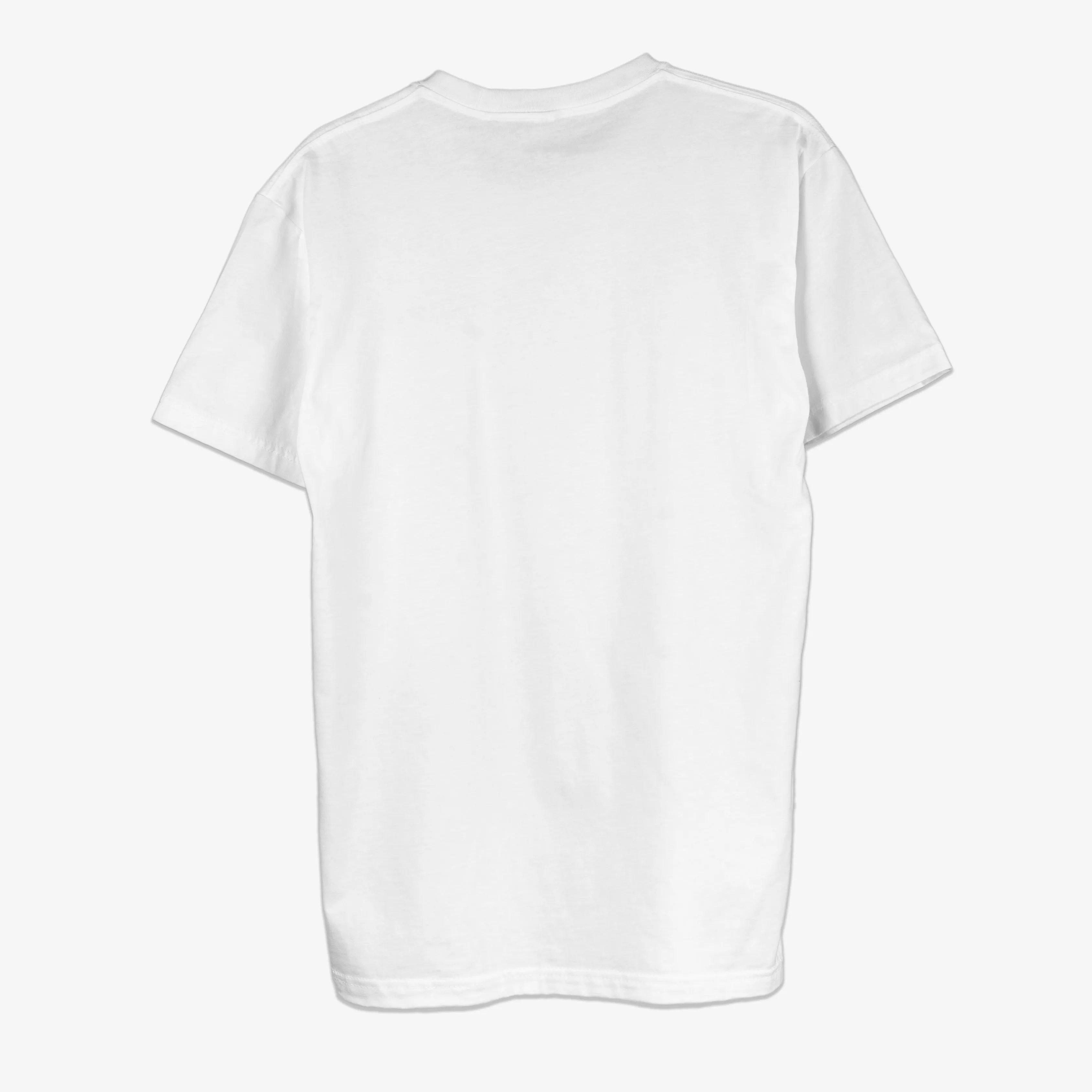 BASICS WHITE 2-PACK