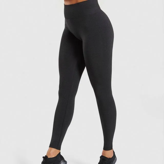 Seamless Leggings M5J5